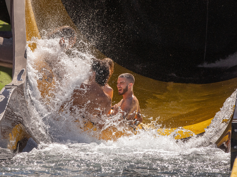 altphoto