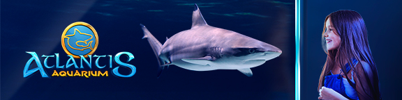 Atlantis aquarium